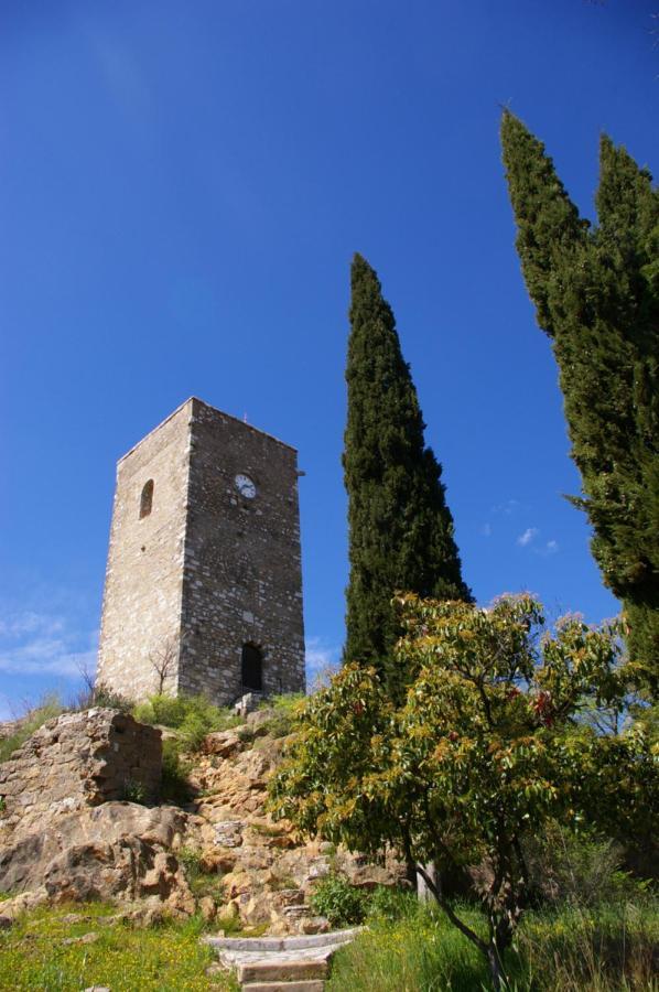 Chez Lydie Cessenon-sur-Orb エクステリア 写真